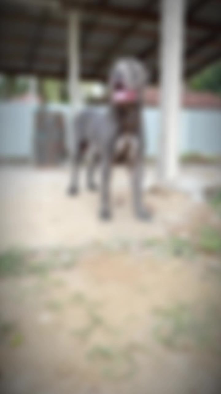 @๐จ๐ฆ๐MR_____BLACK๐จ๐ฆ๐
