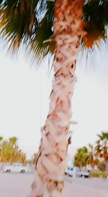 @masoomak302