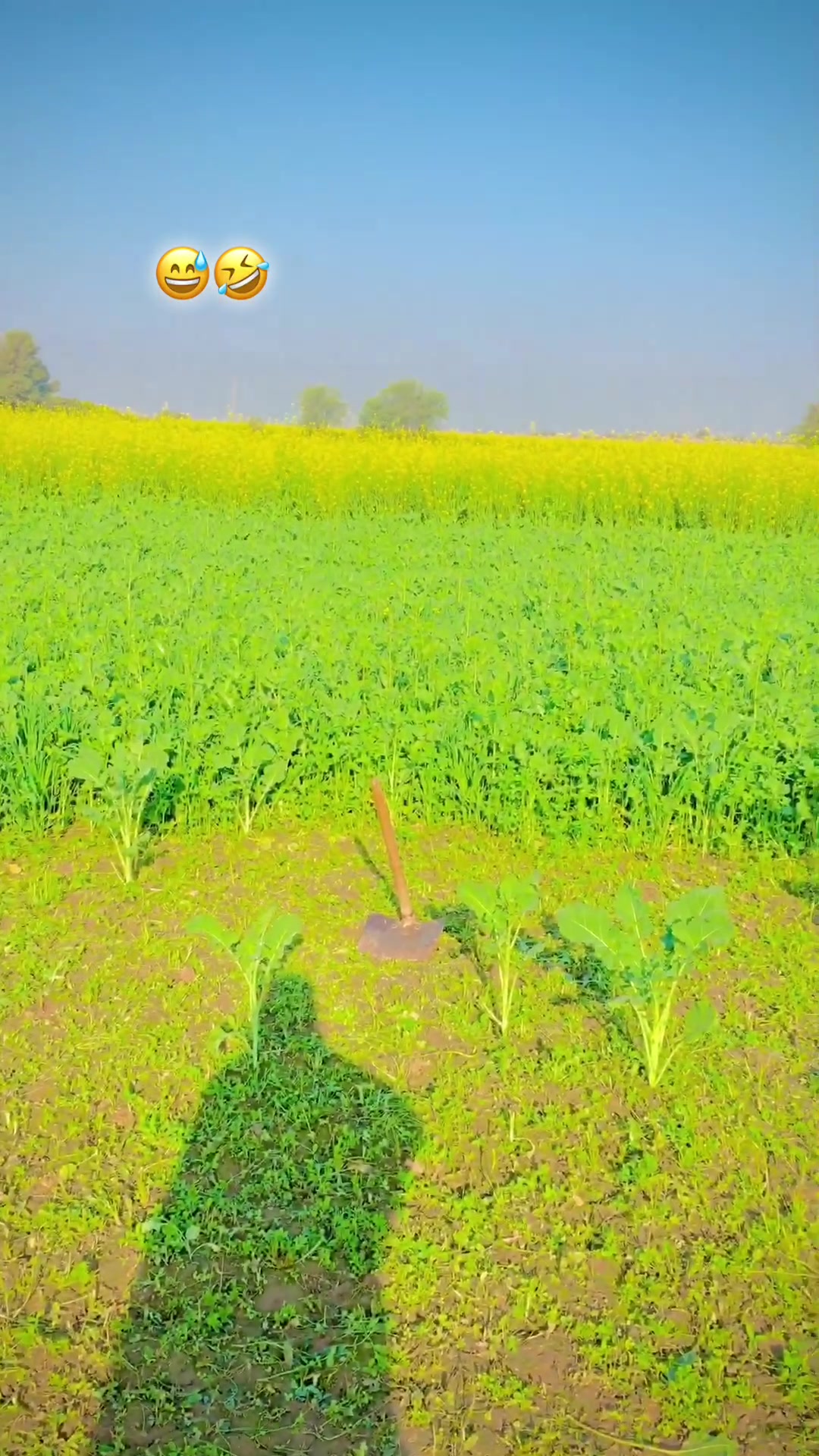 @🌿ینگ فارمر🐄