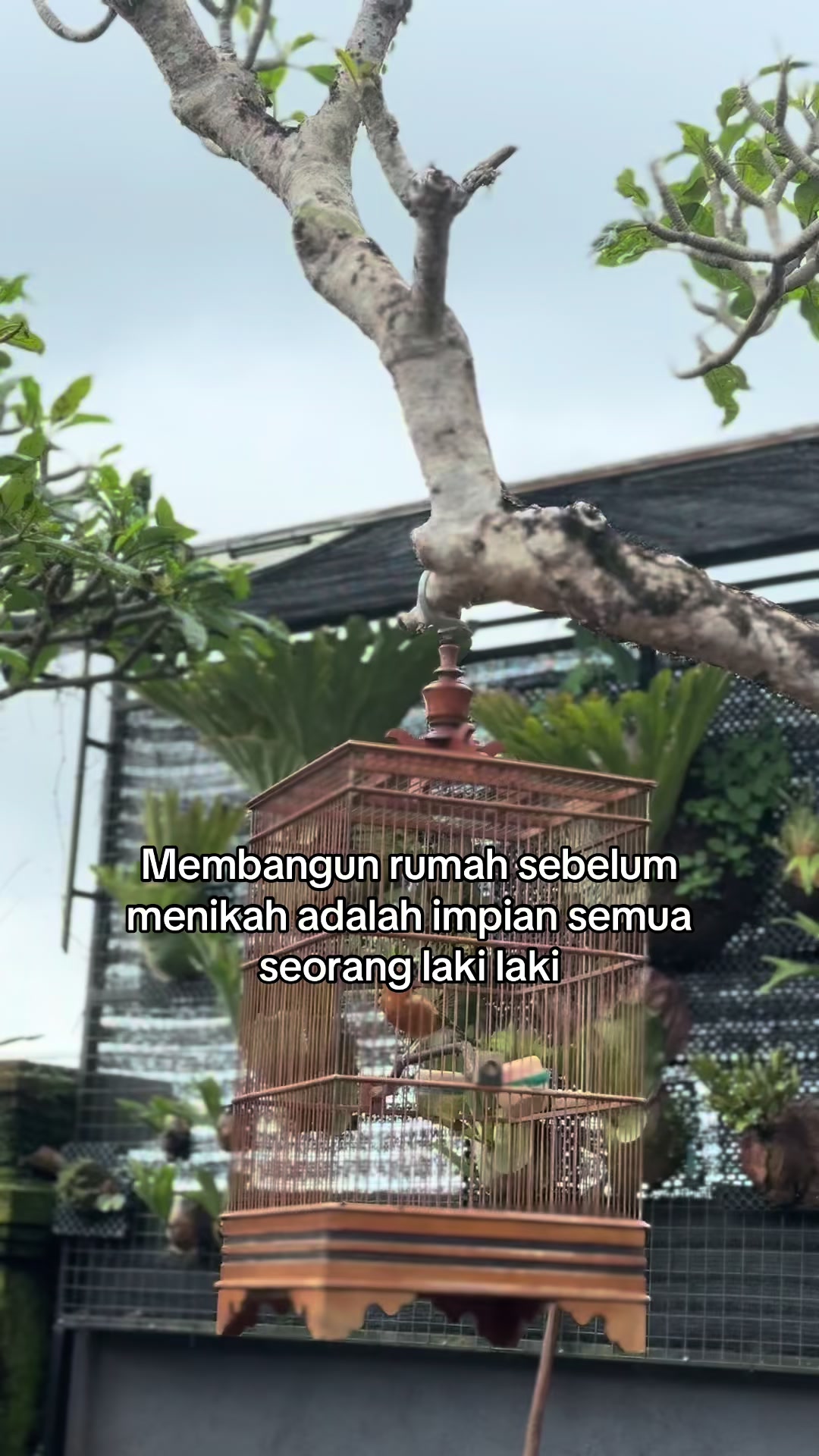 @Tuguna