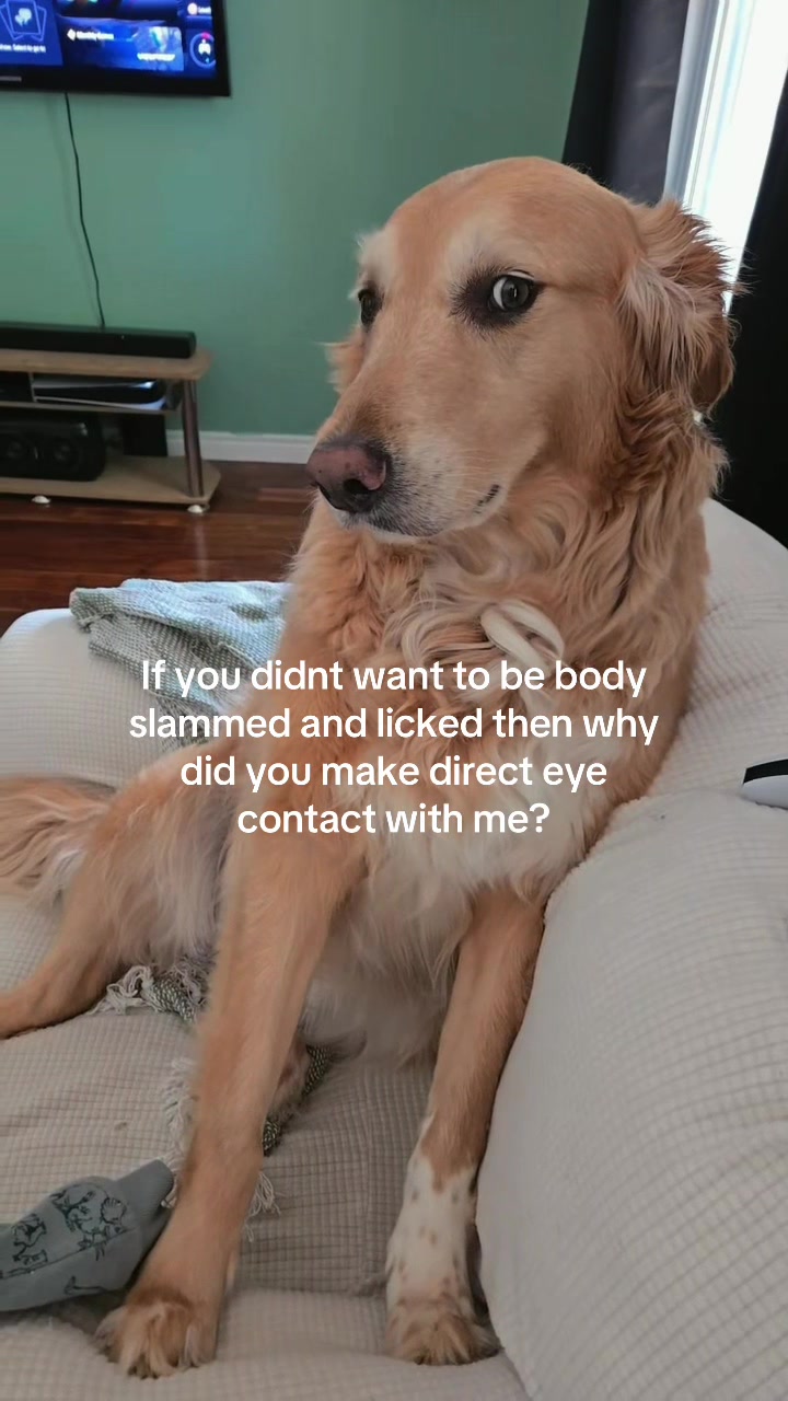 @LINDA
