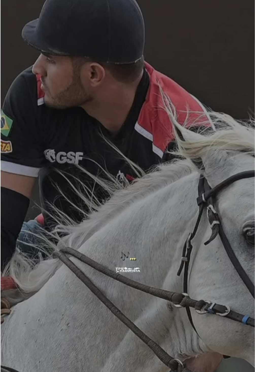 @forró de vaquejada