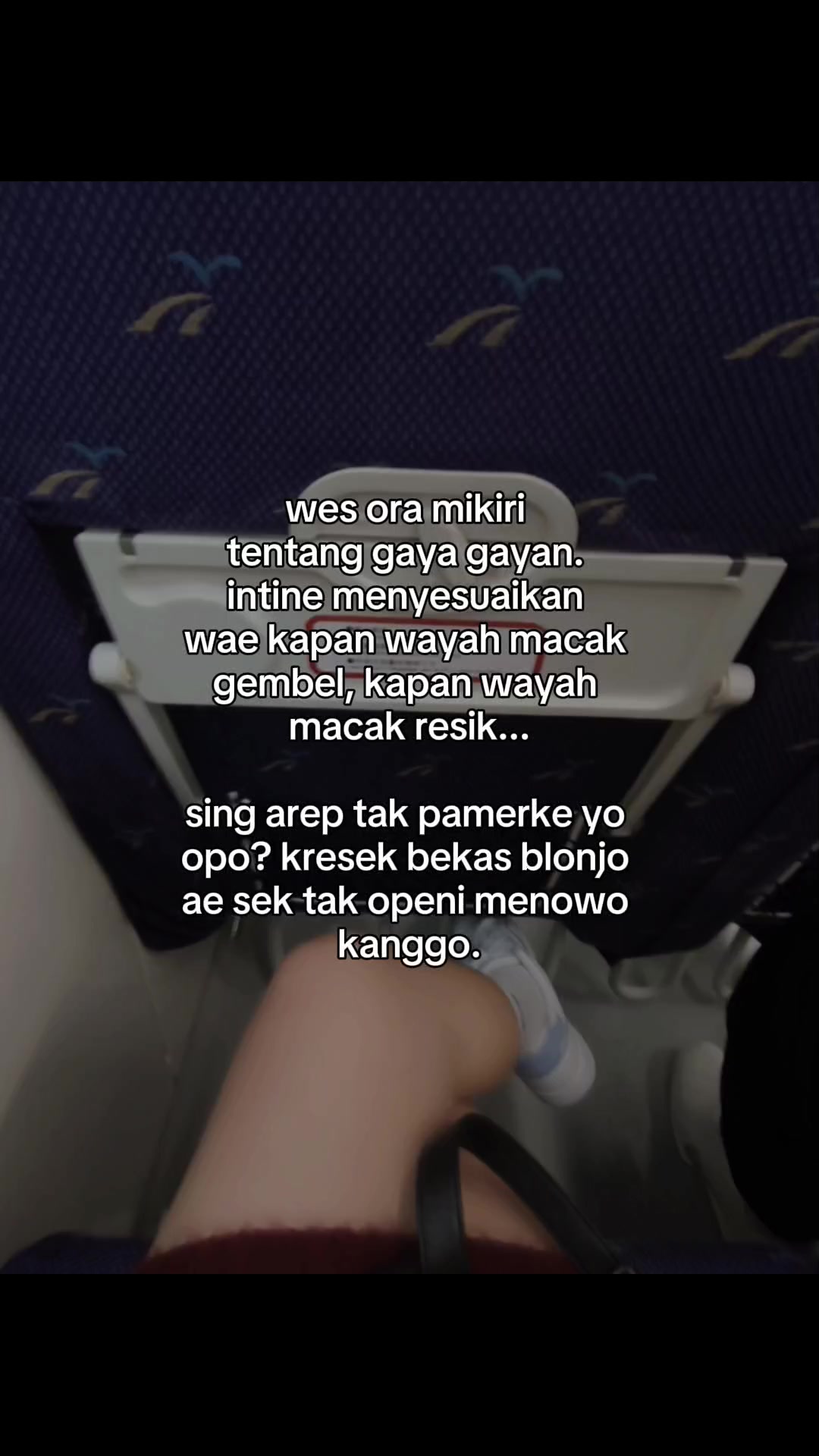 @novfay🫶