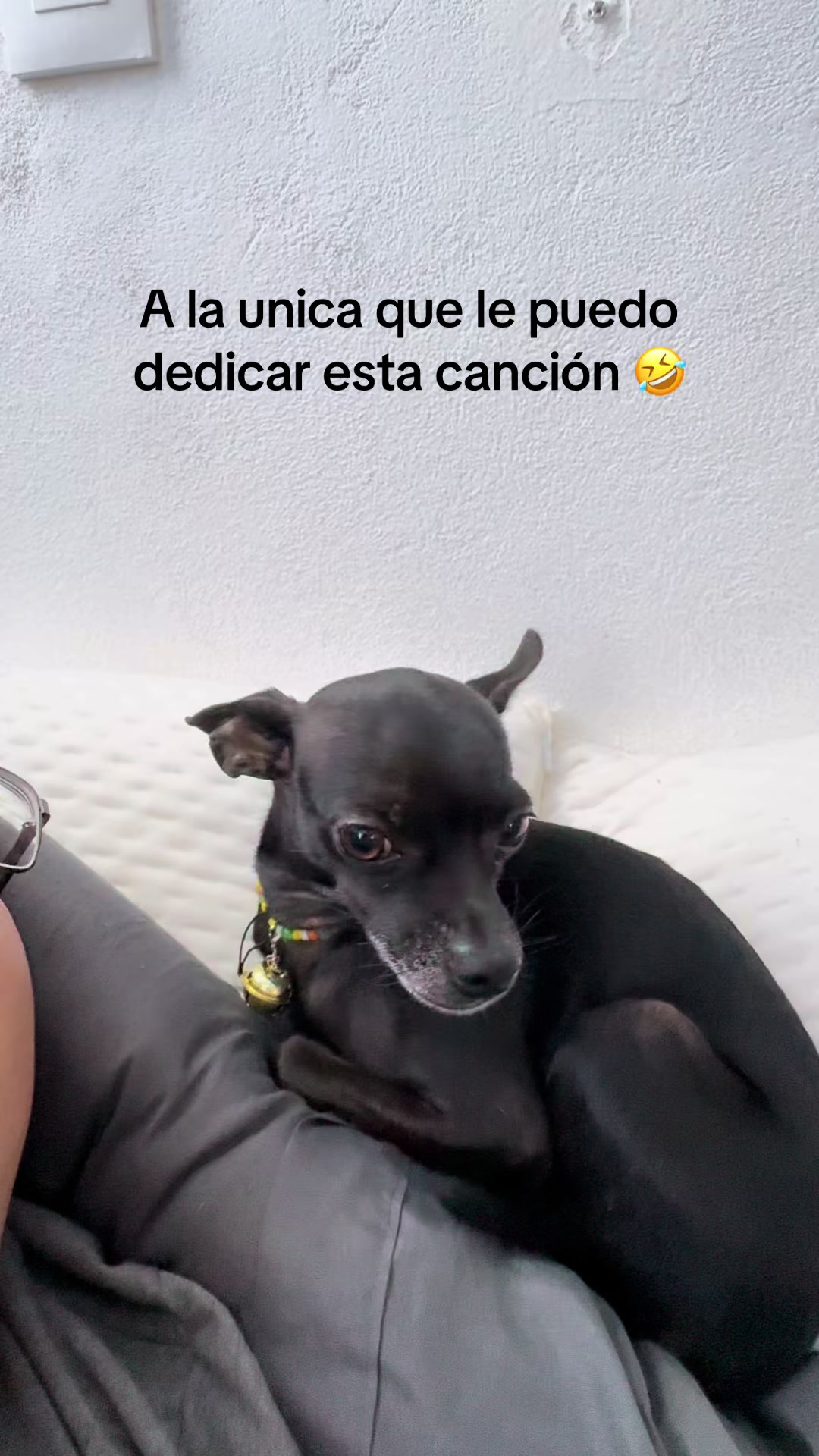 @antonio bissett