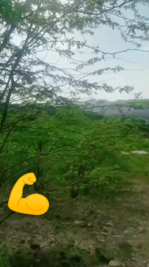 @hazir