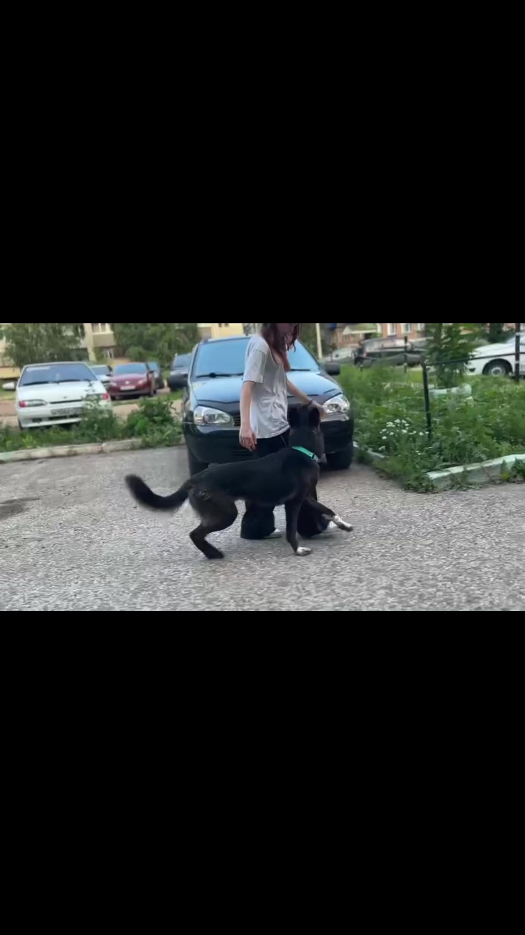 @метиска в раю