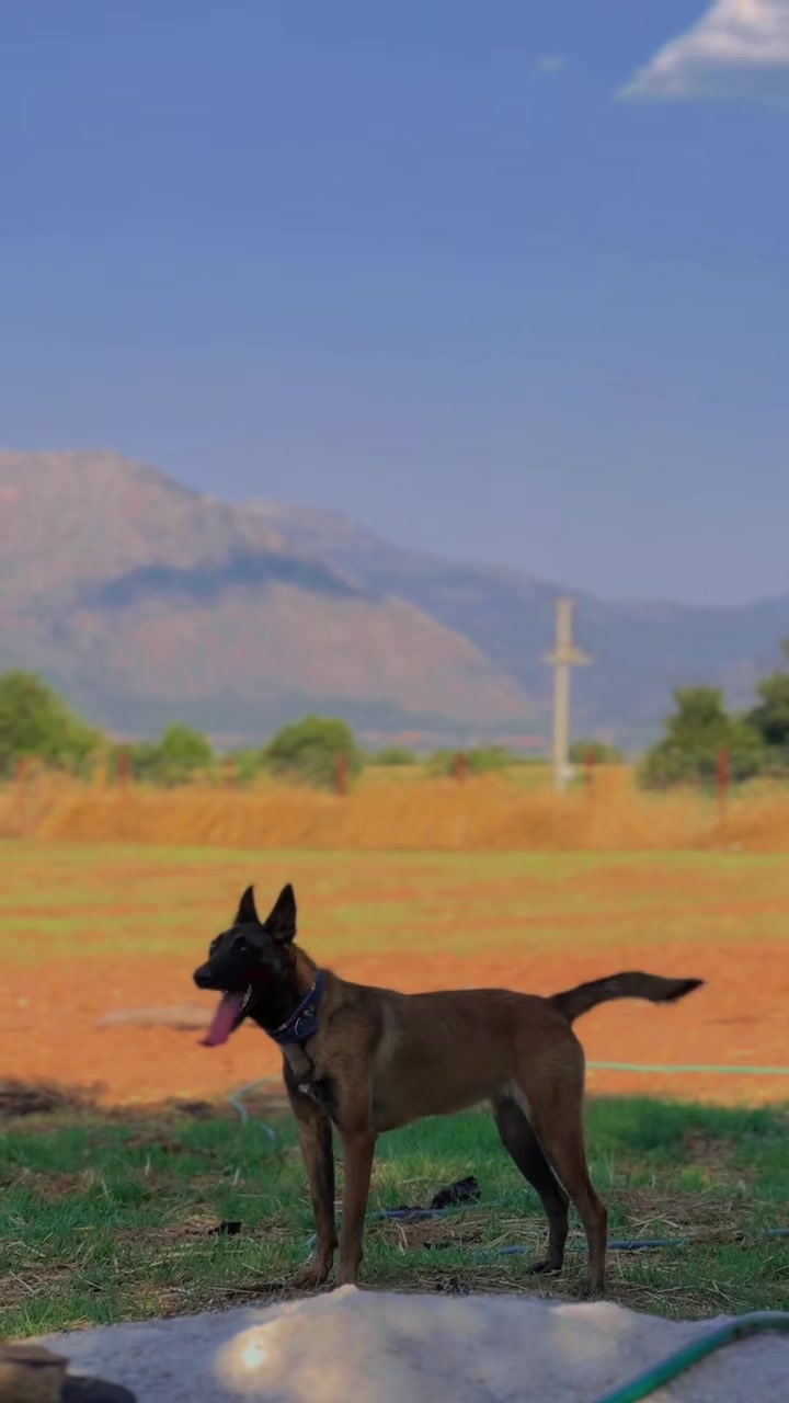 @&Ccedil;etin BATUR