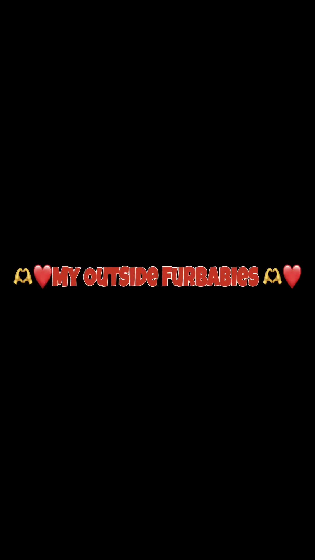@🖤🩶😘 𝐓𝐞𝐞𝐓𝐞𝐞 😘🩶🖤