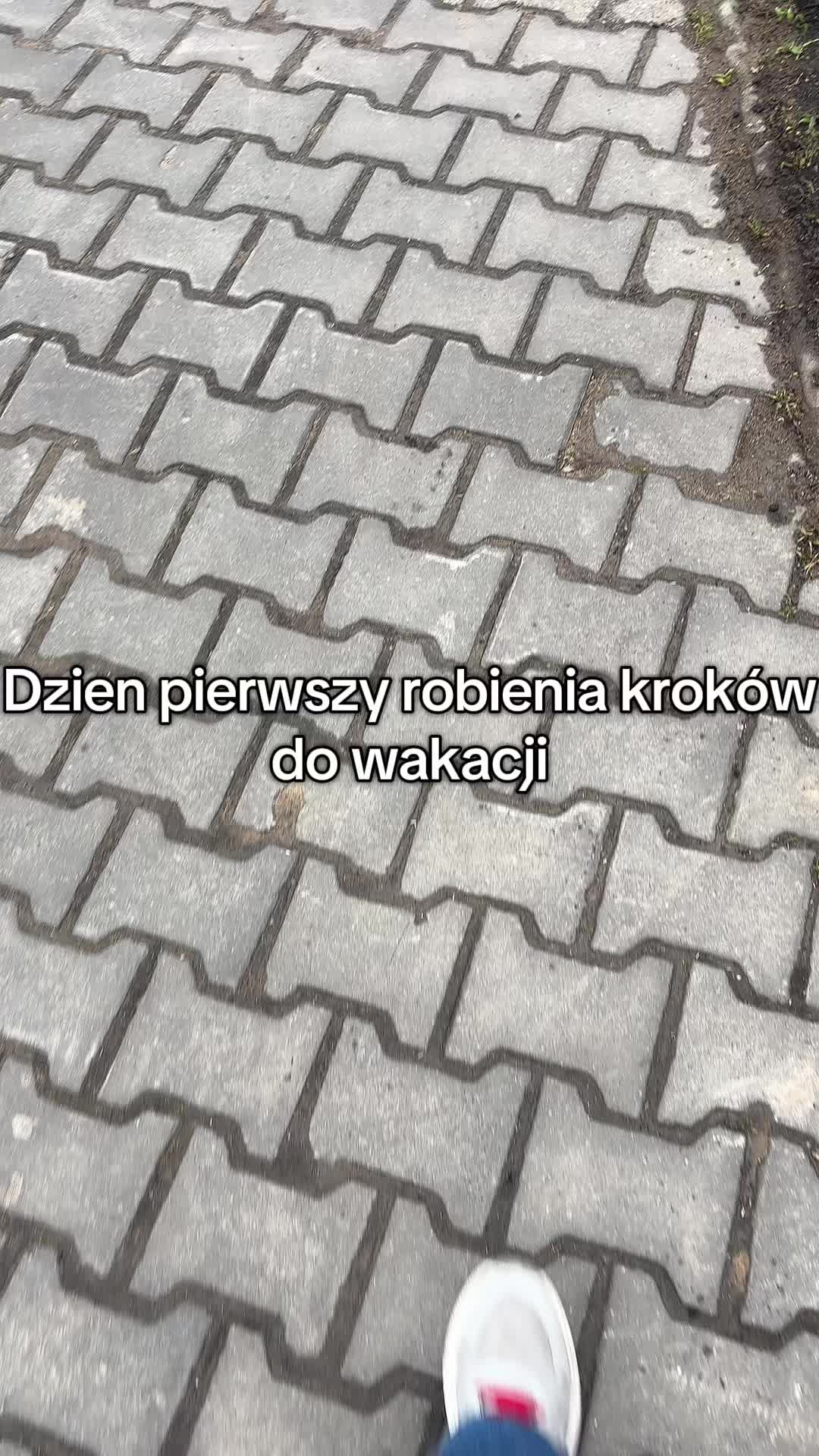 @🕊️🦓🪰