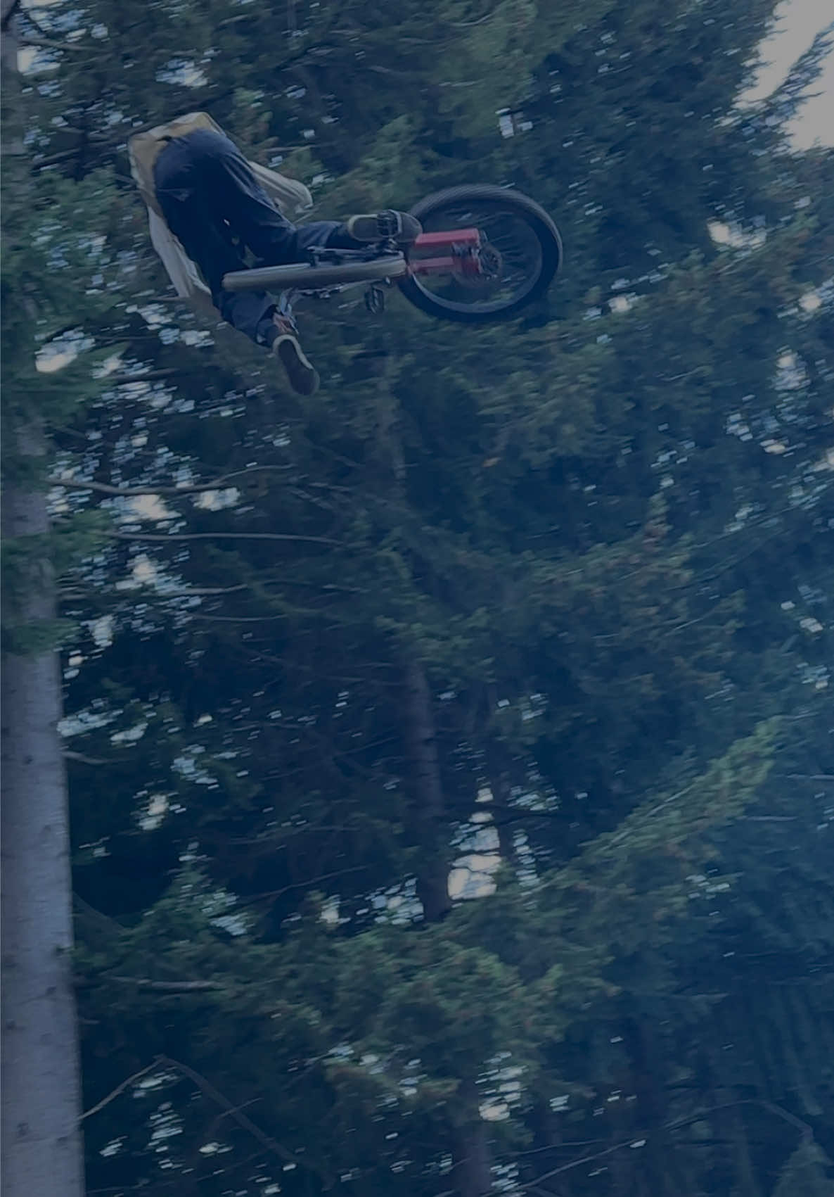 @MTB FREERIDE | FUN | TRAVEL