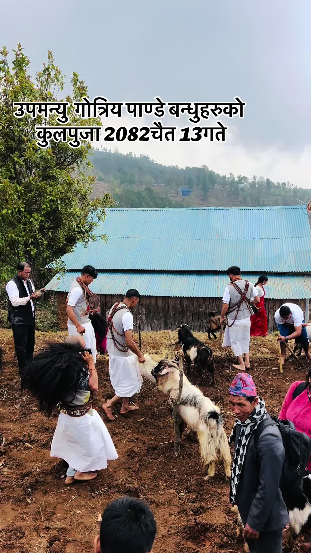 @shreya 🕉️🔱