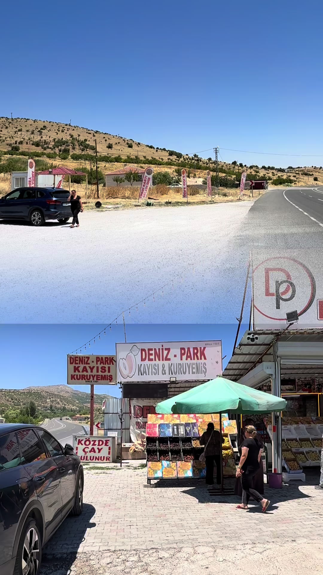 @DENİZ KAYISI