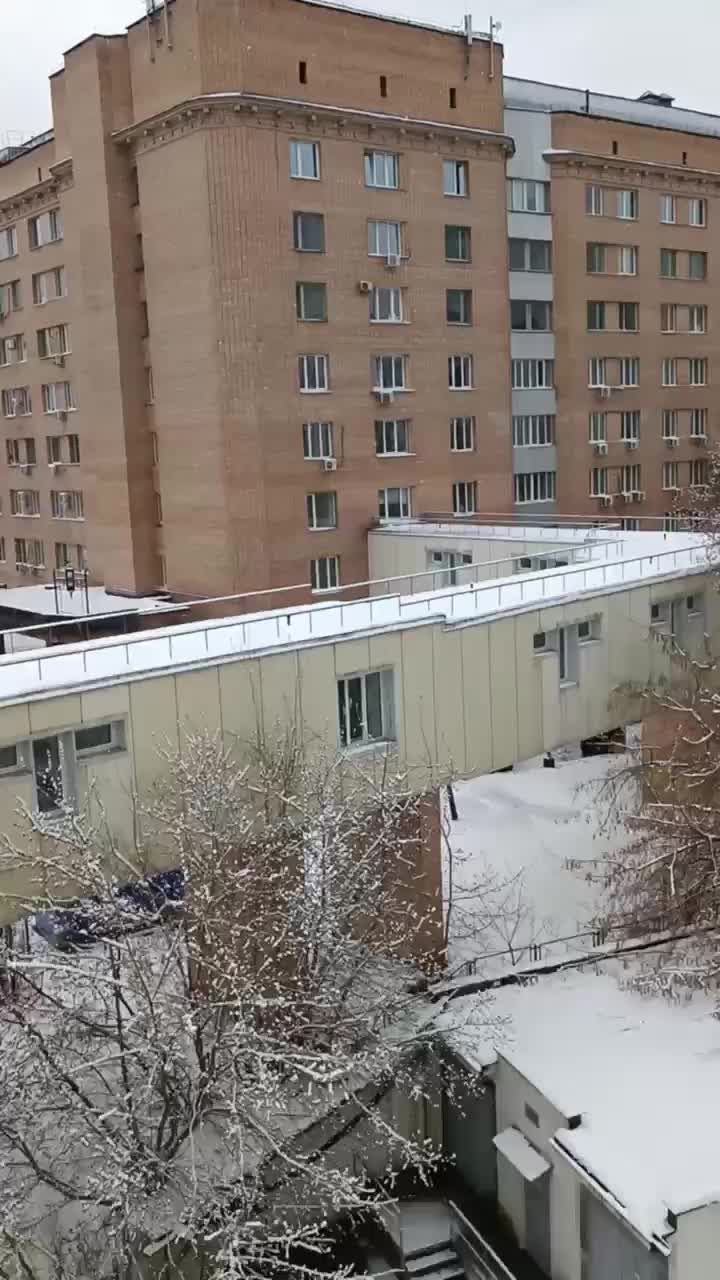 @Hukumoc