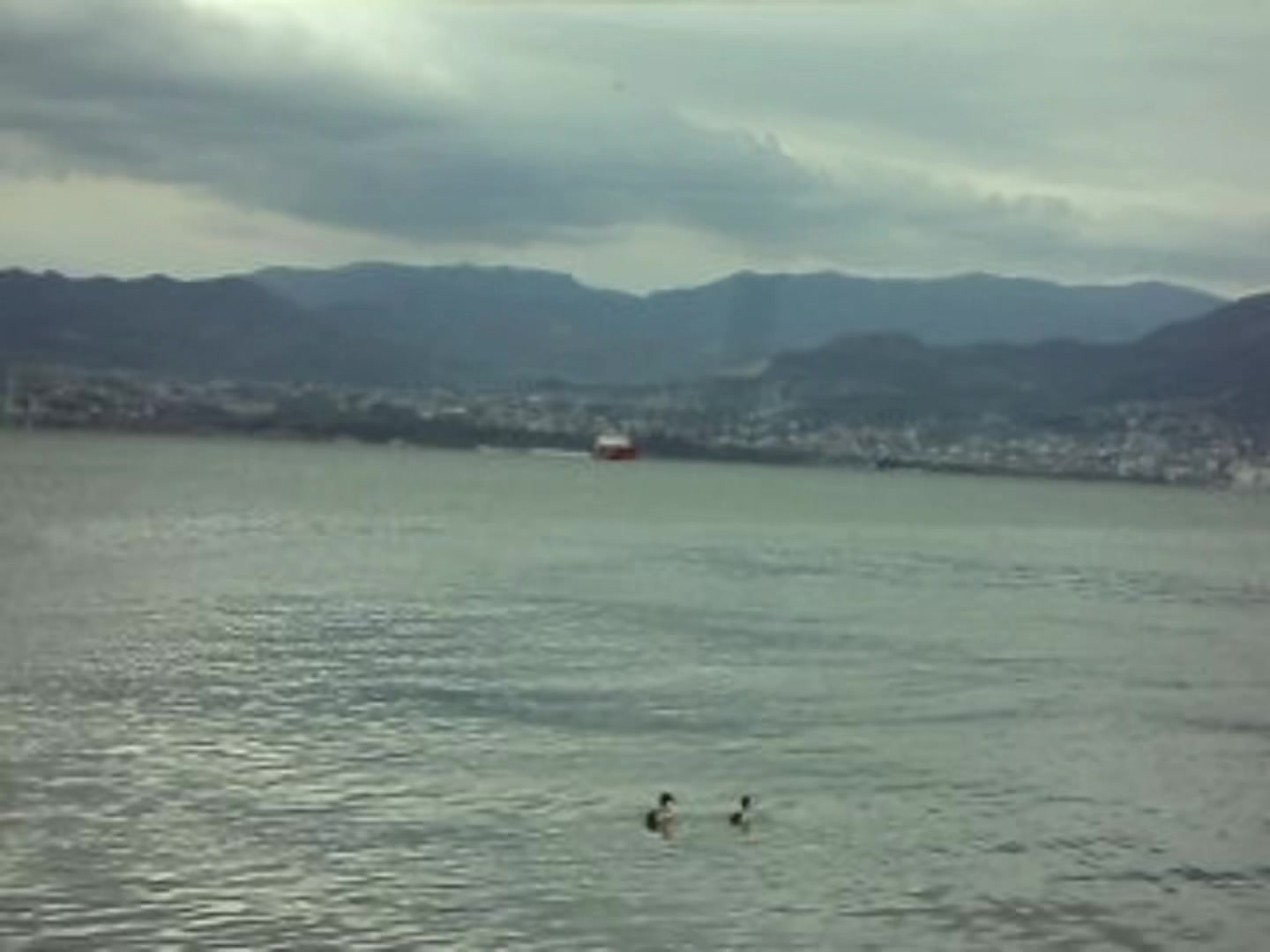 @Gazozagaci