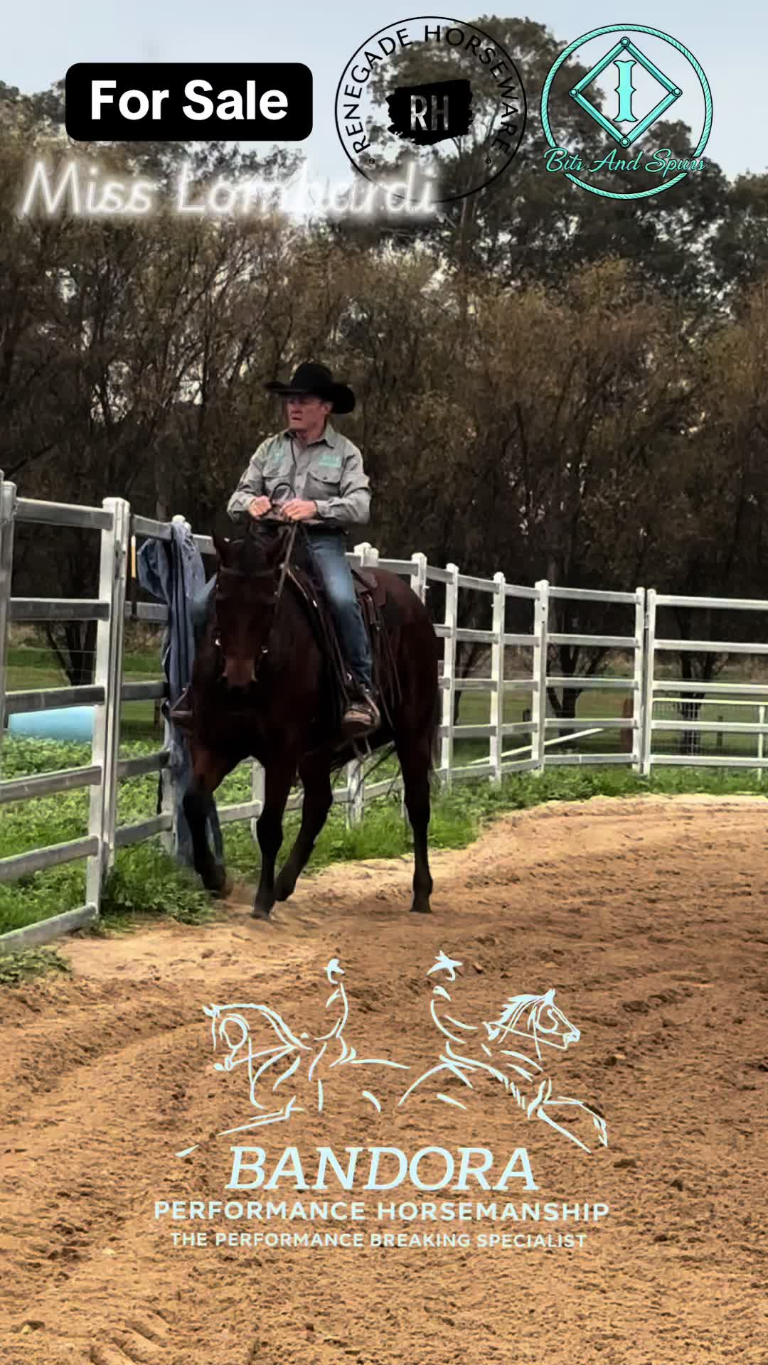@Bandora_Horsemanship