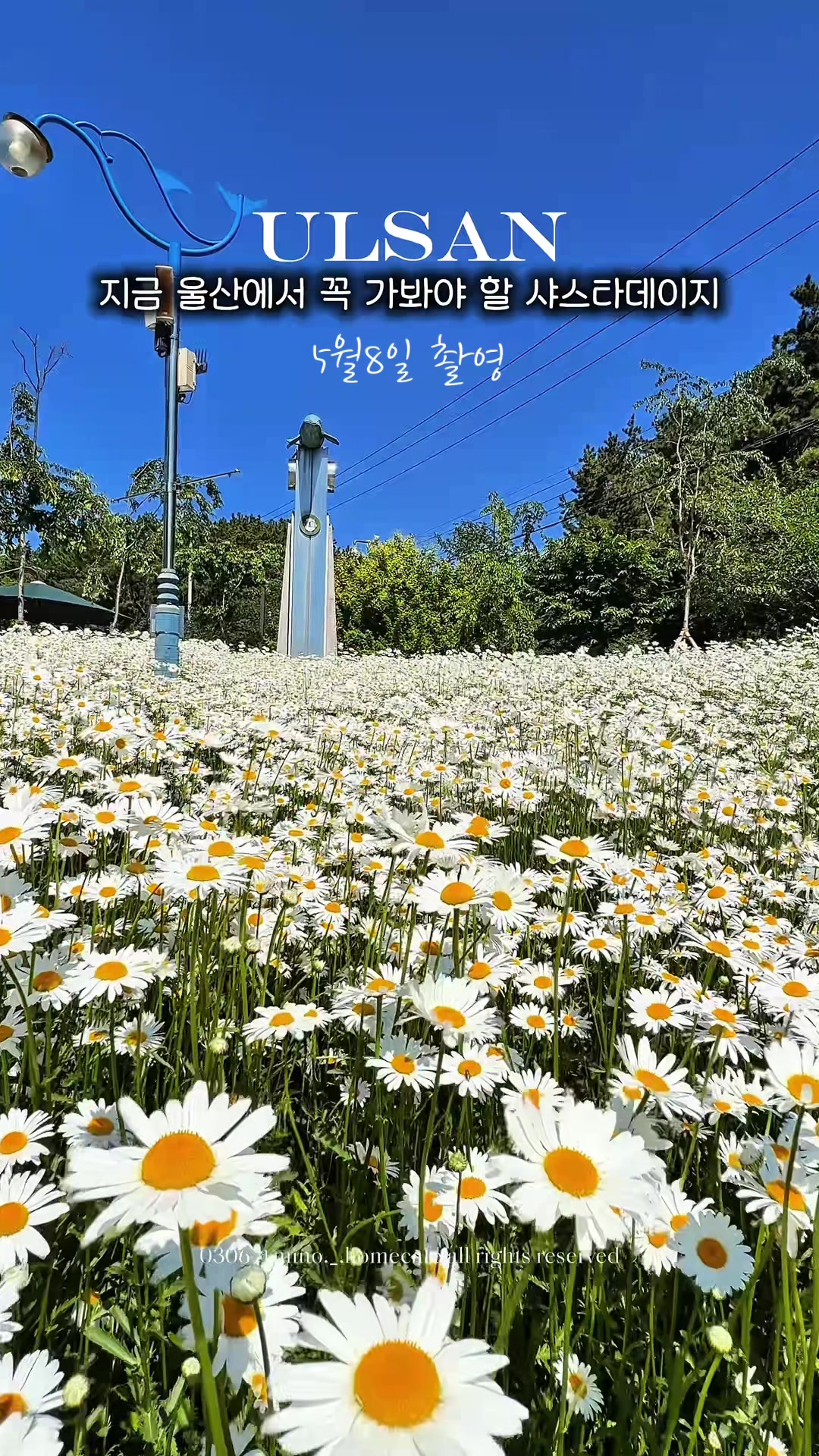 @mino36 미노36