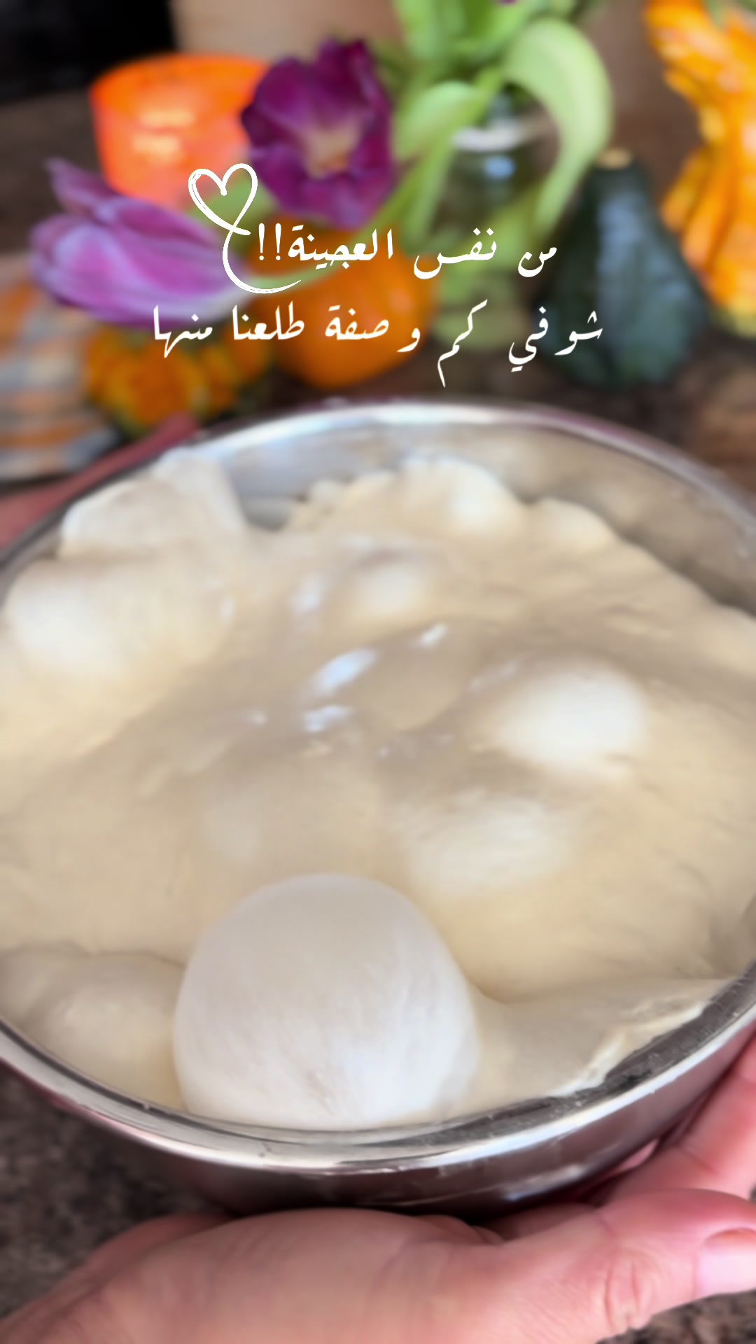 @Ruba Jaradat3