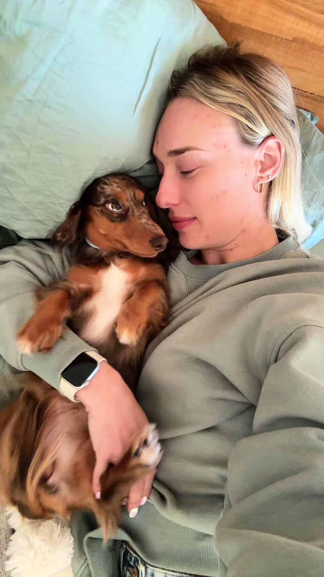 @Dachshund Dynasty