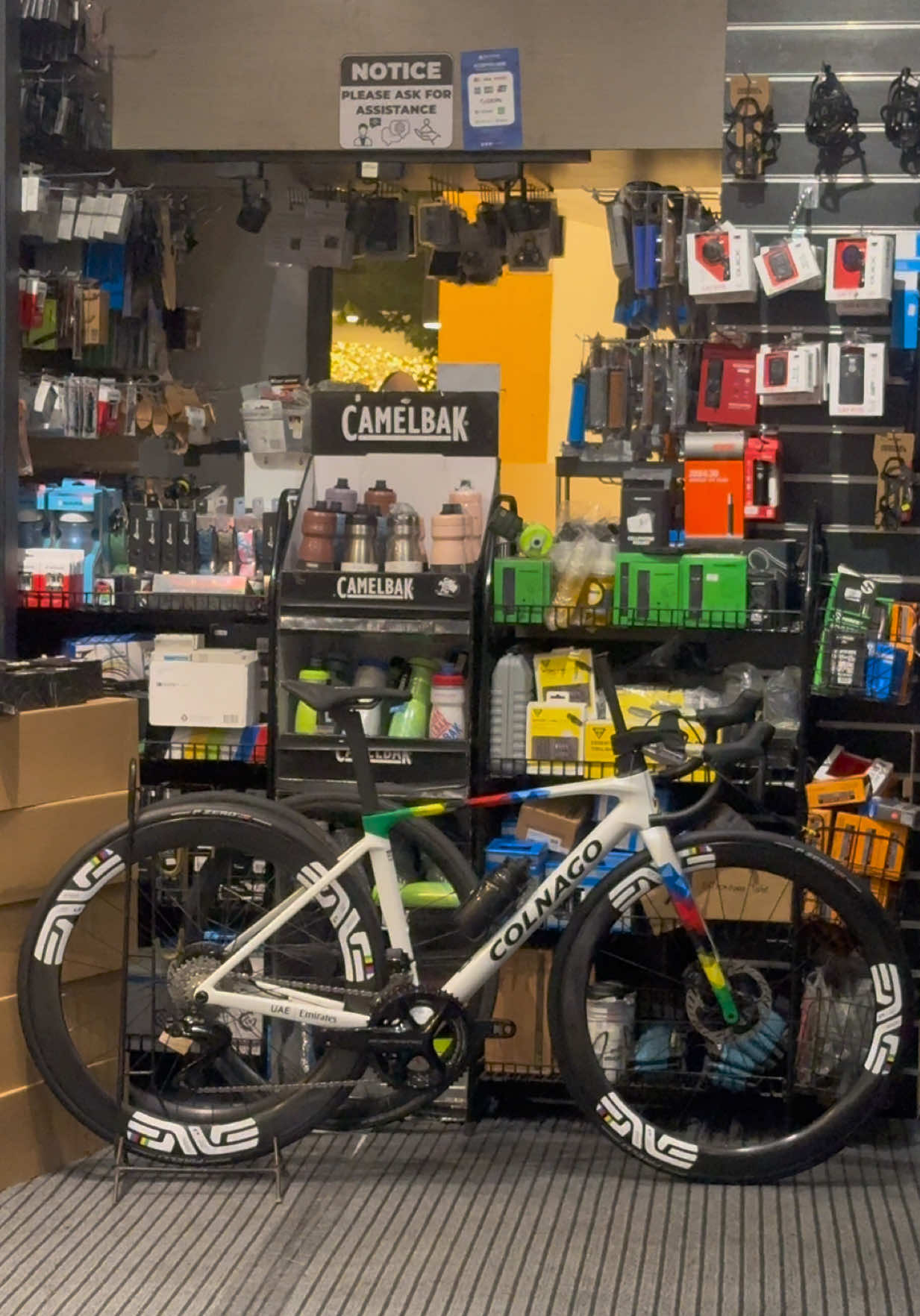 @gopedalph