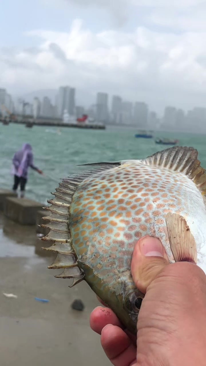 @Nha Trang fishing tour
