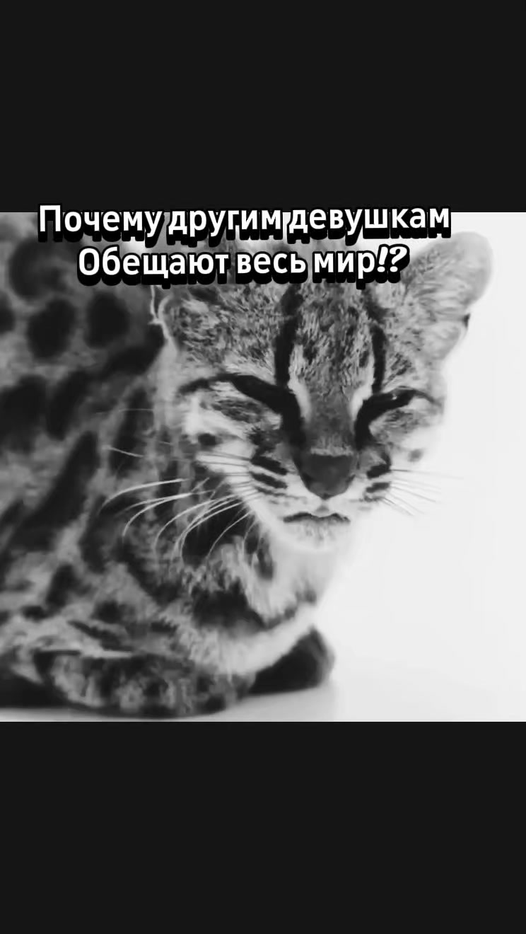 @любима мужем ❤️