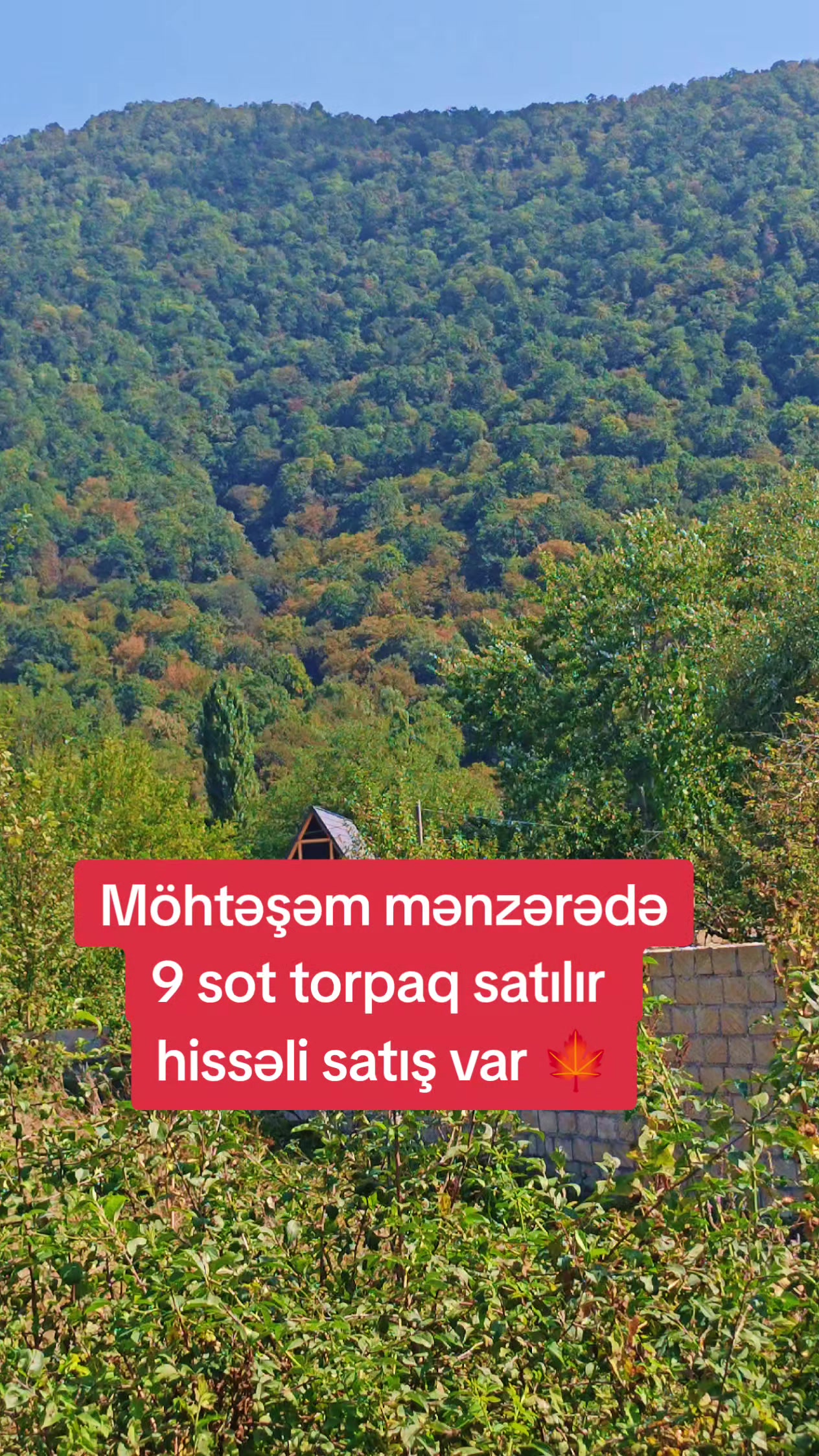 @qebeleturizm