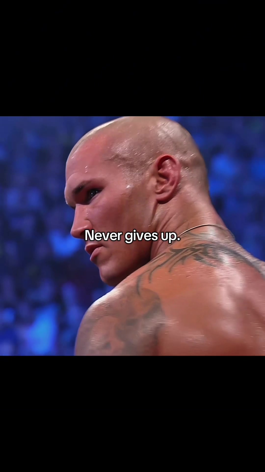 @Visionary_wrestler