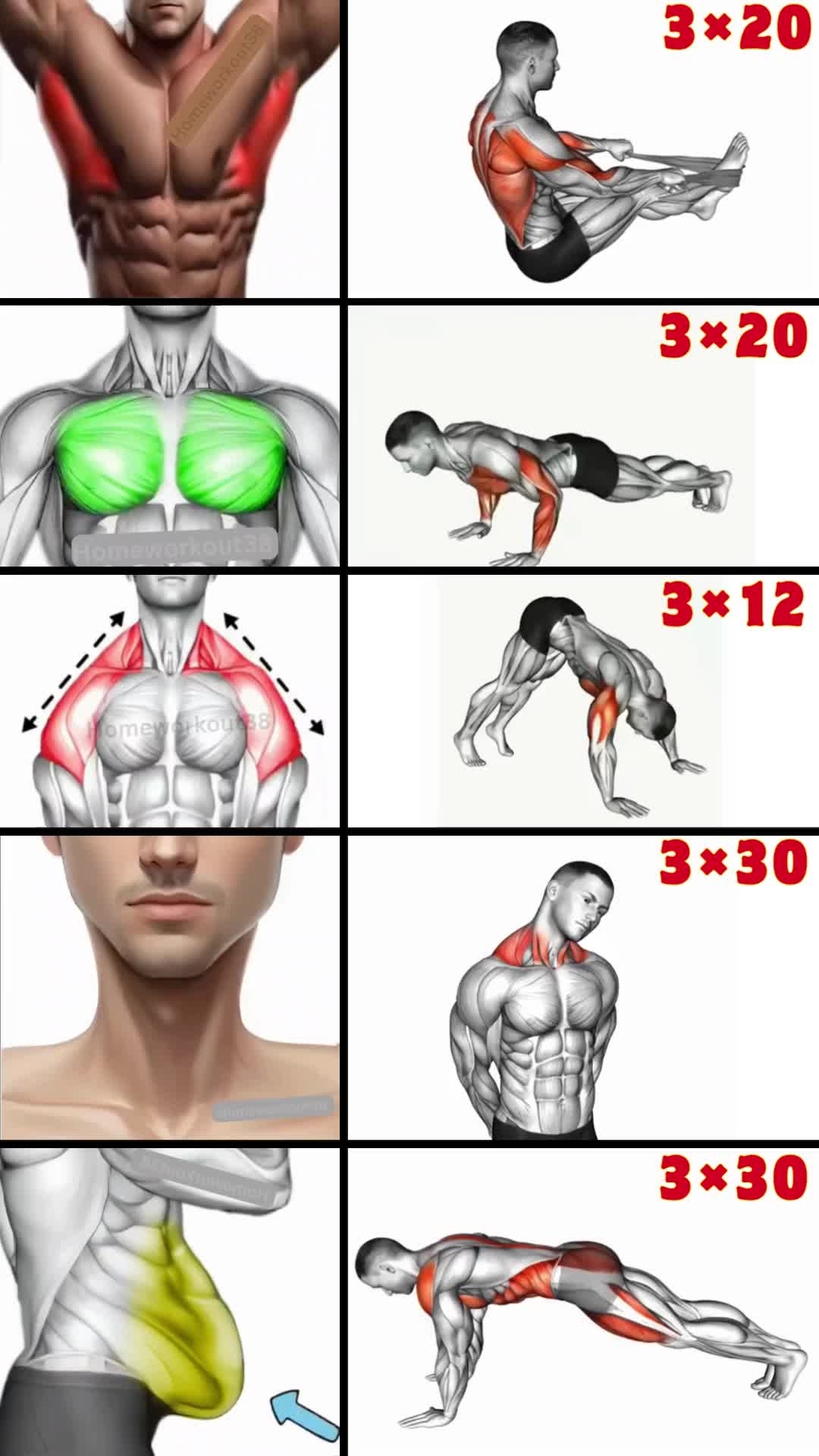 @HOMEWORKOUT
