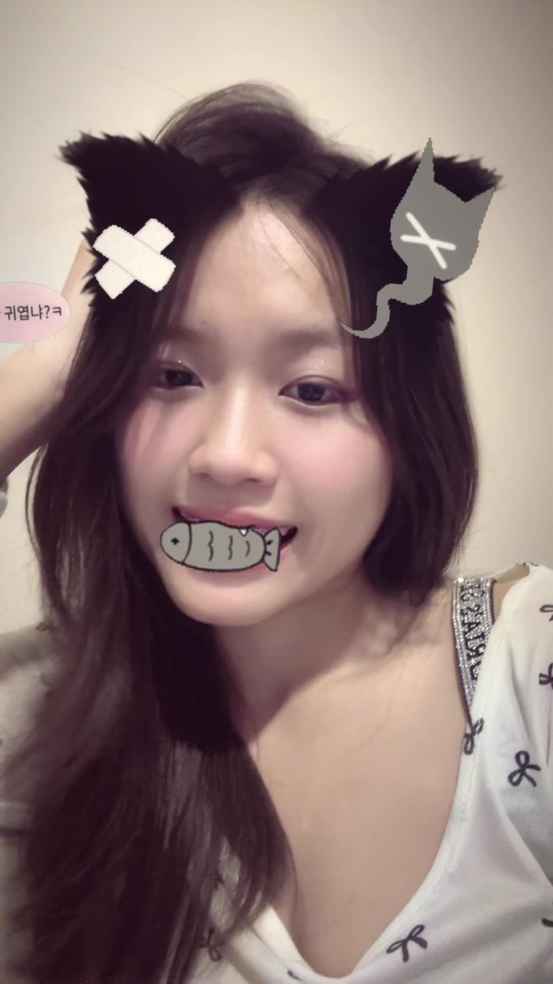@แมวน้ำบุ๋งๆ