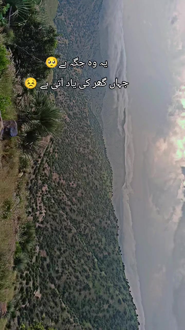 @آخروٹ🚩🫡