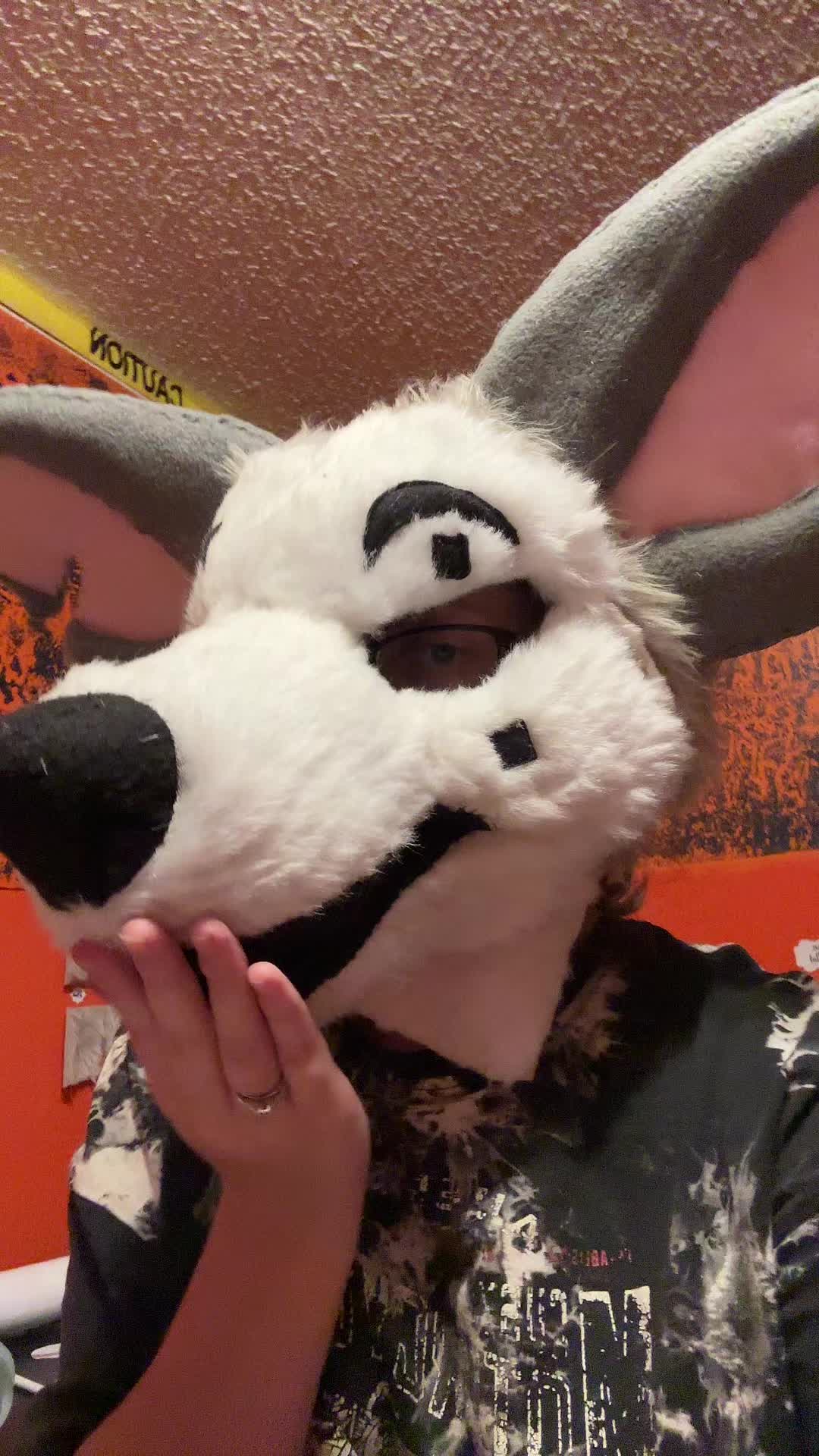 @♡ 𝕊𝕙𝕒𝕕𝕠𝕨 ♡