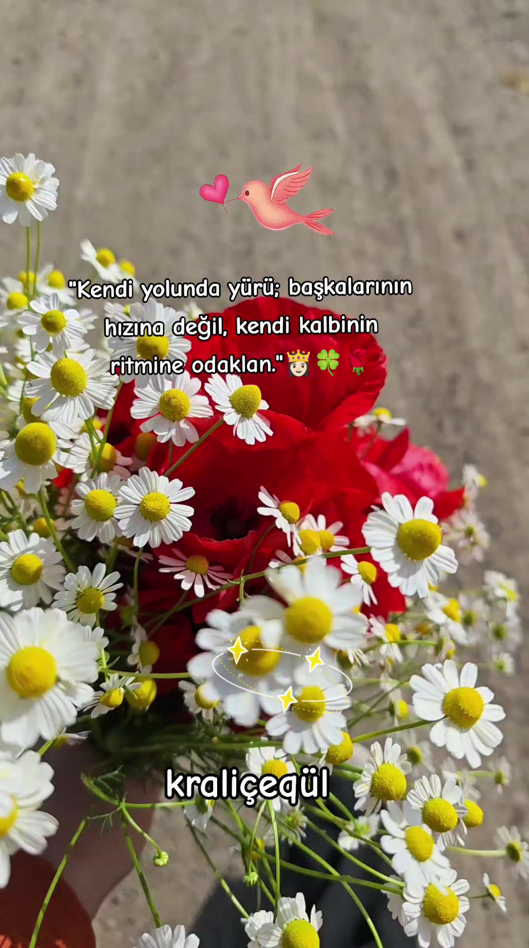 @g&uuml;l_ygt34