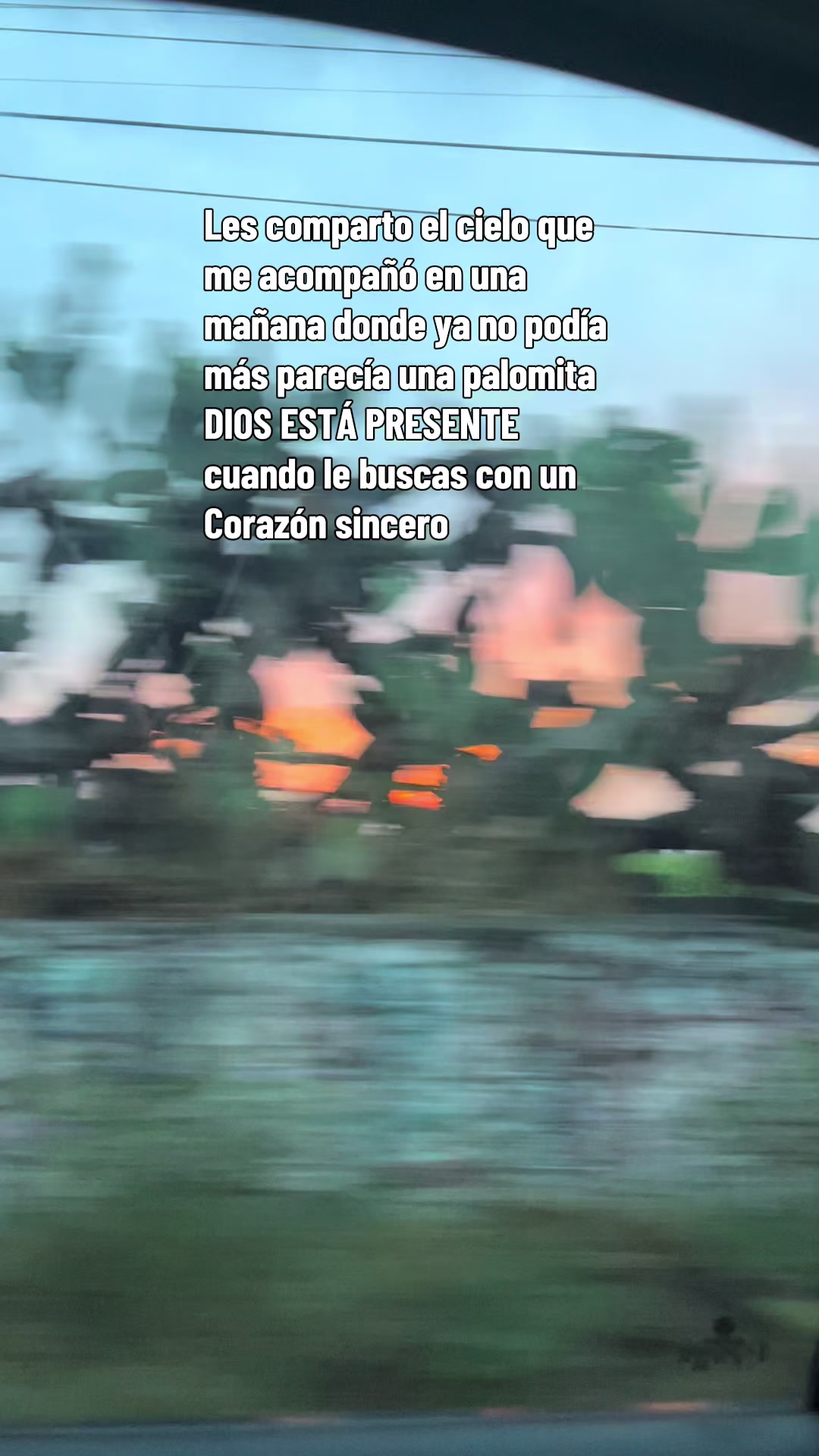 @Mar&iacute;a MH✨