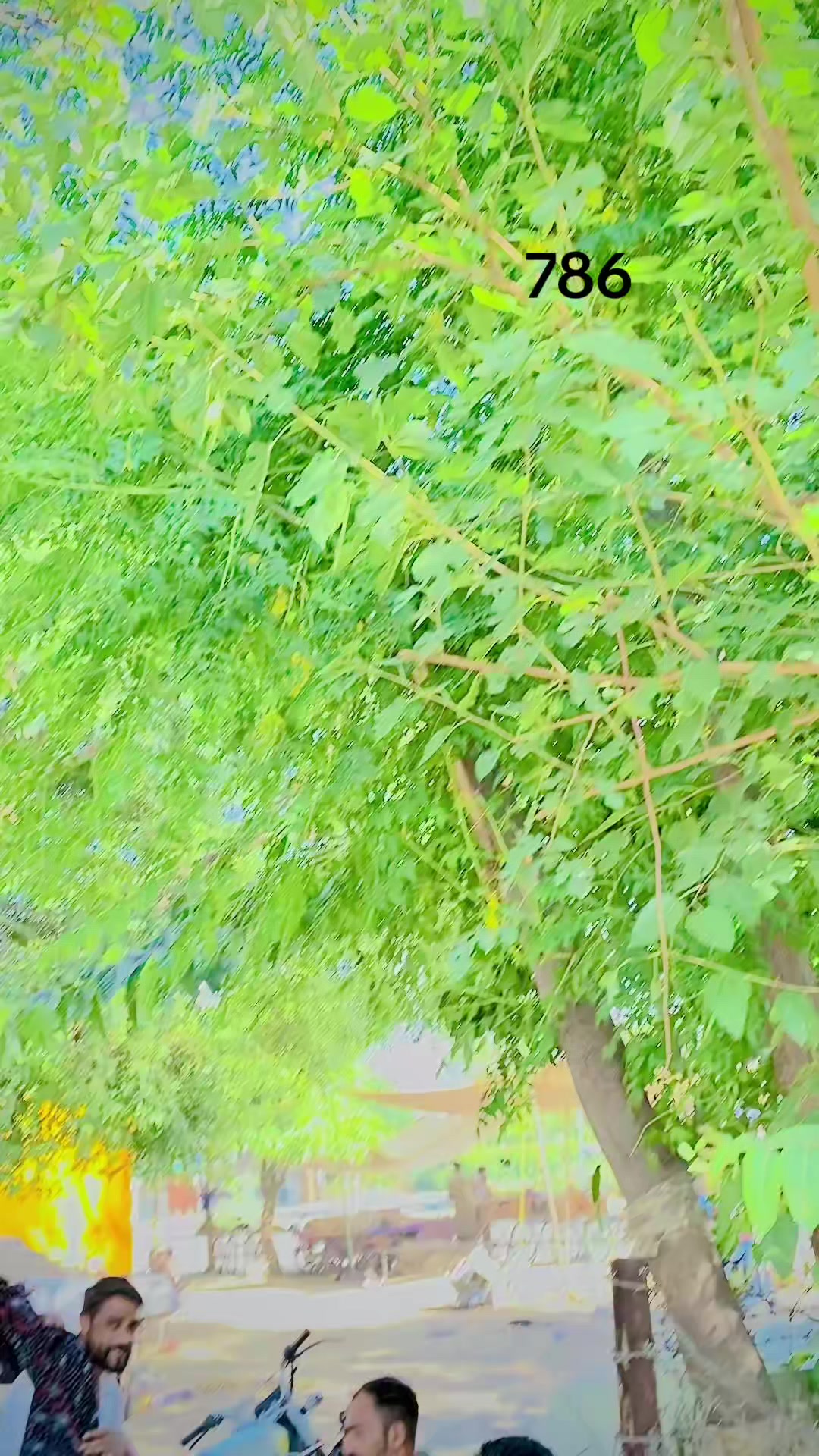 @sarkar 786🤟&hearts;️🤟