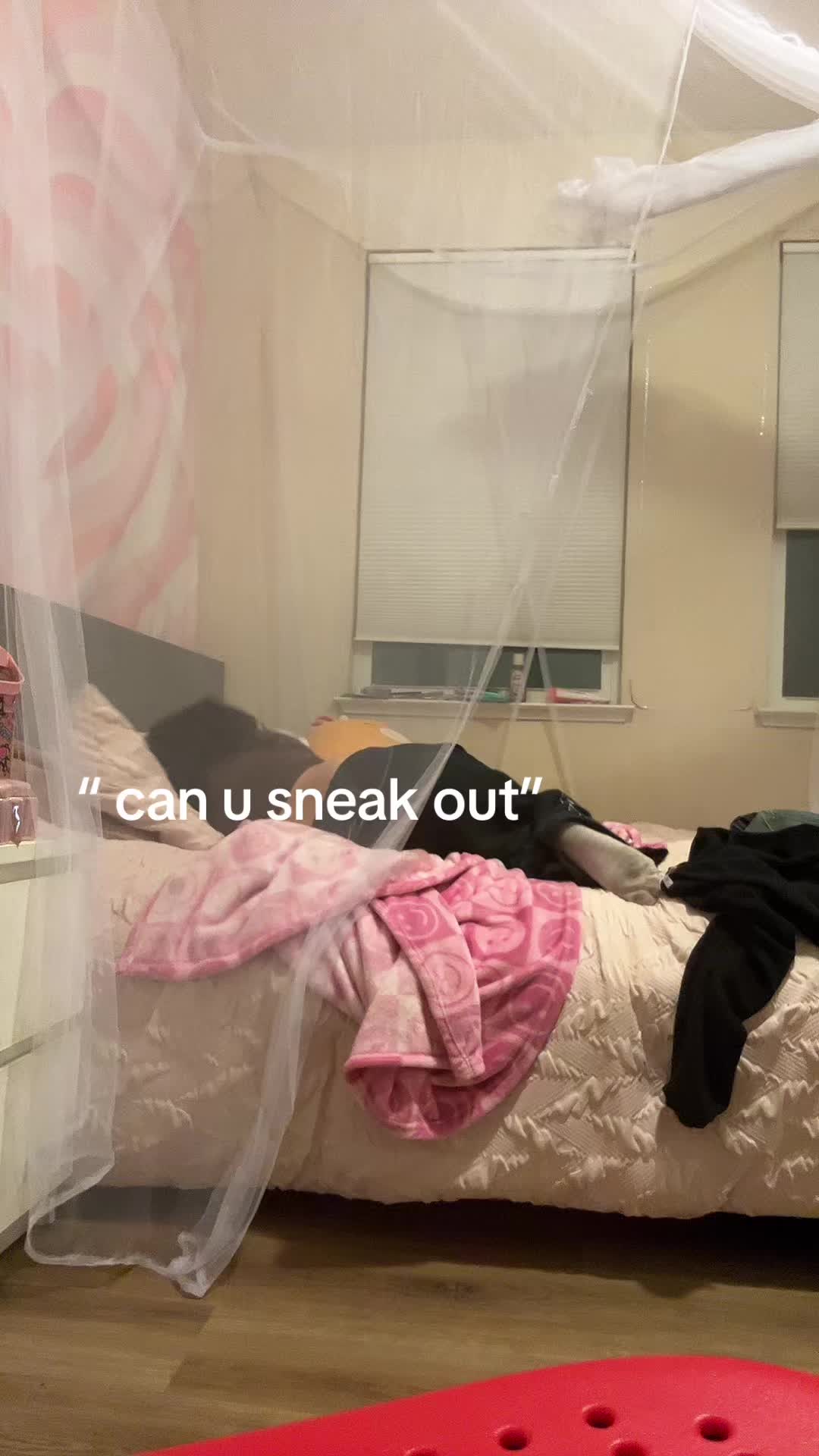 @lleyla
