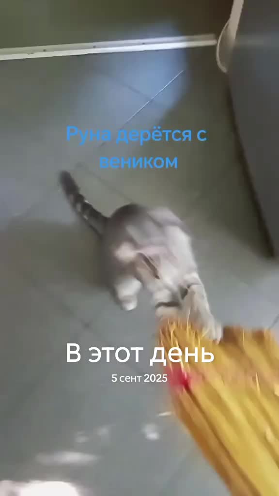 @°Vilyas°
