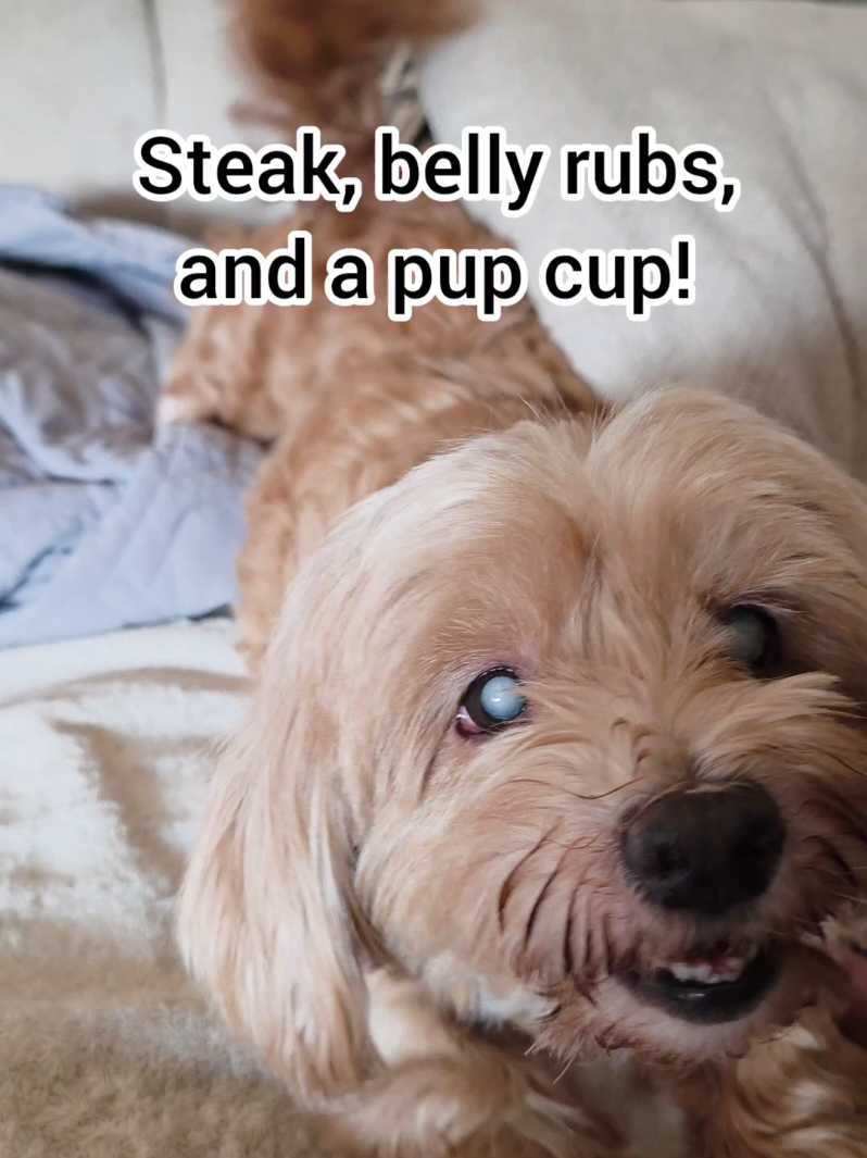 @BuddyandMikes Pal