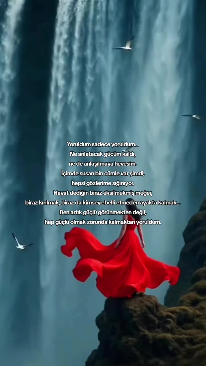 @🕊️꧁༺ MELİSA ༻꧂🕊️