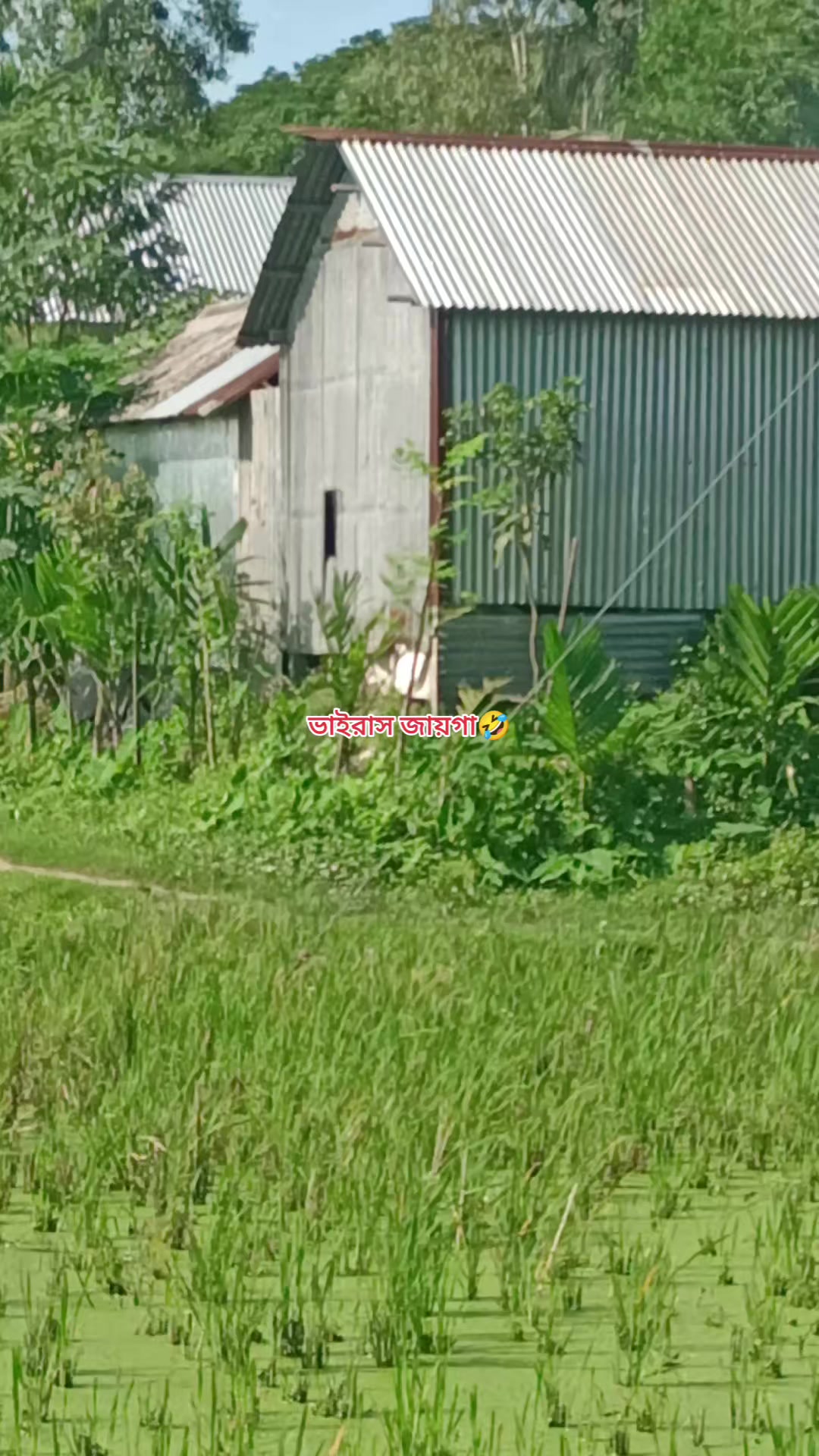 @&asymp;!!🩷পি_&raquo;&laquo;_চ্চি🩷!!&asymp;