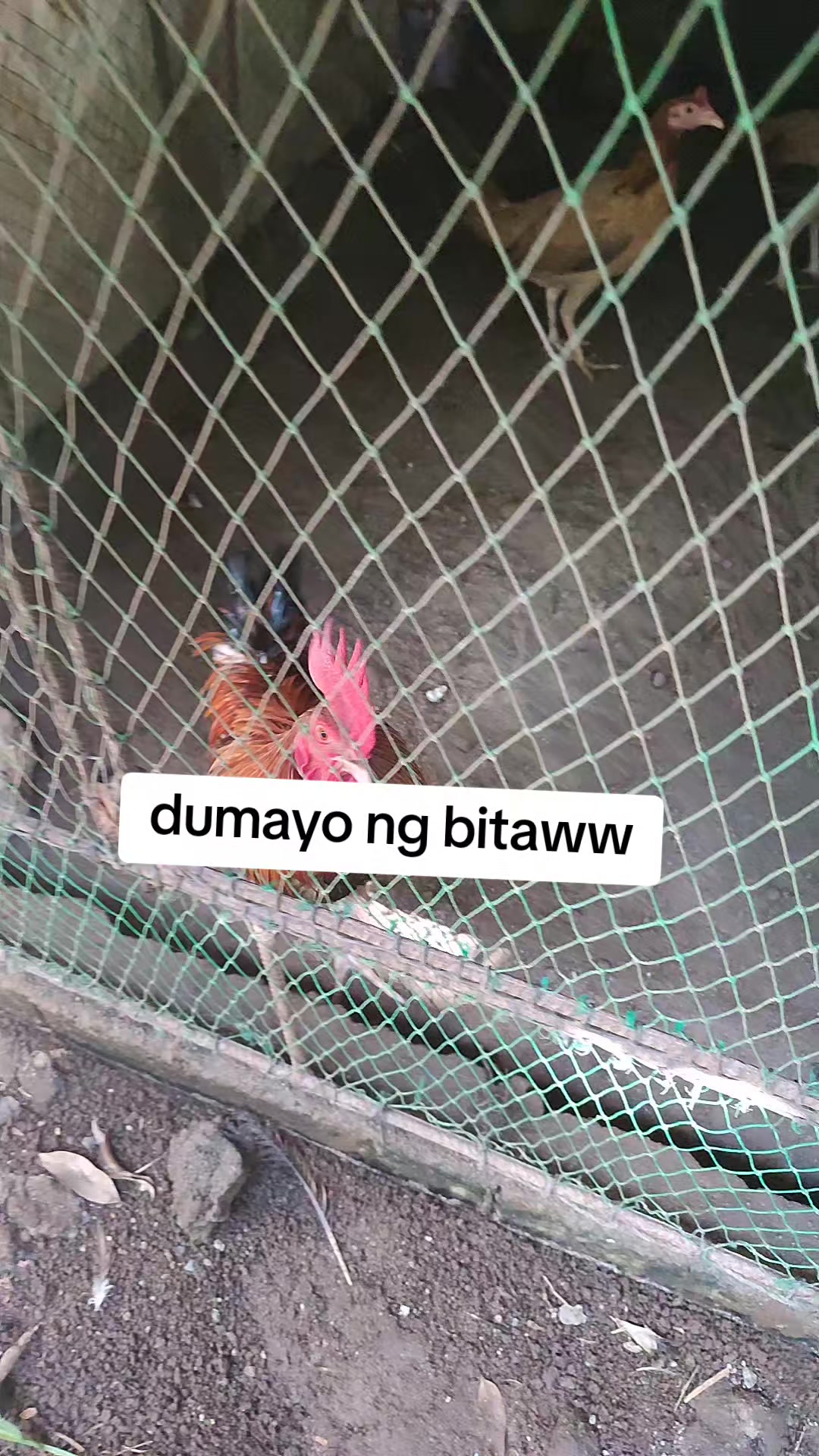 @kaymark alejandro