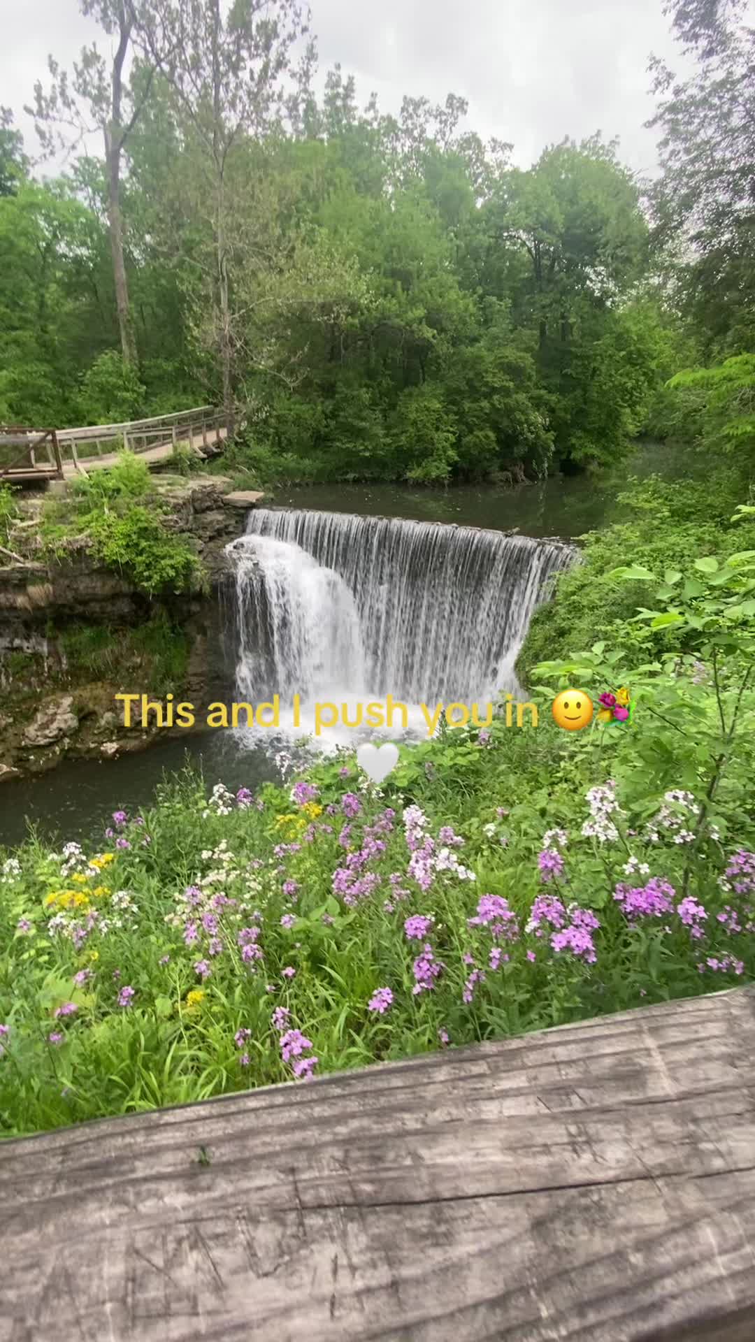 @Syd🐒🤍💐