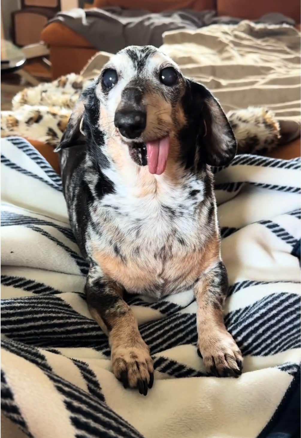 @agedsausages