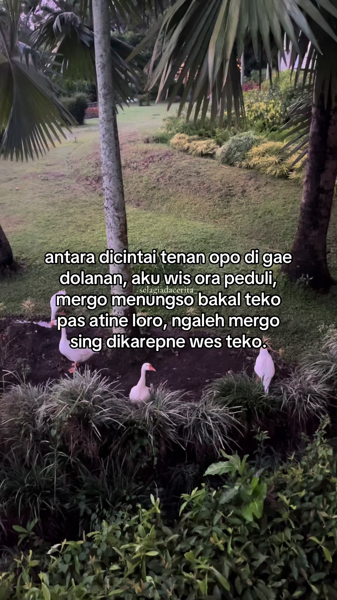 @naa⋆.˚ʚଓ