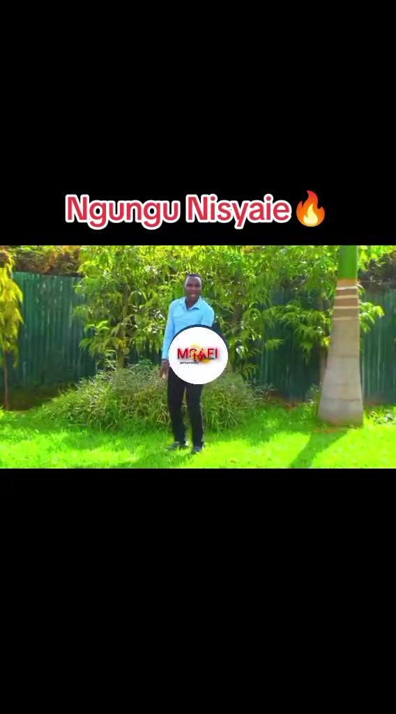 @MSAFI TV💫ONLINE