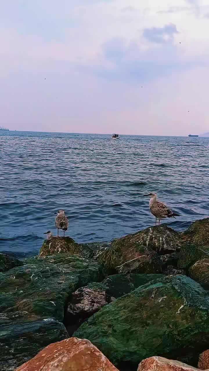 @🕊️_Egana_Shakh_🕊️