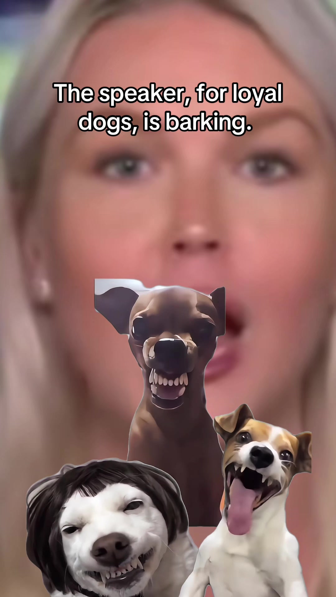 @kittyrebellion