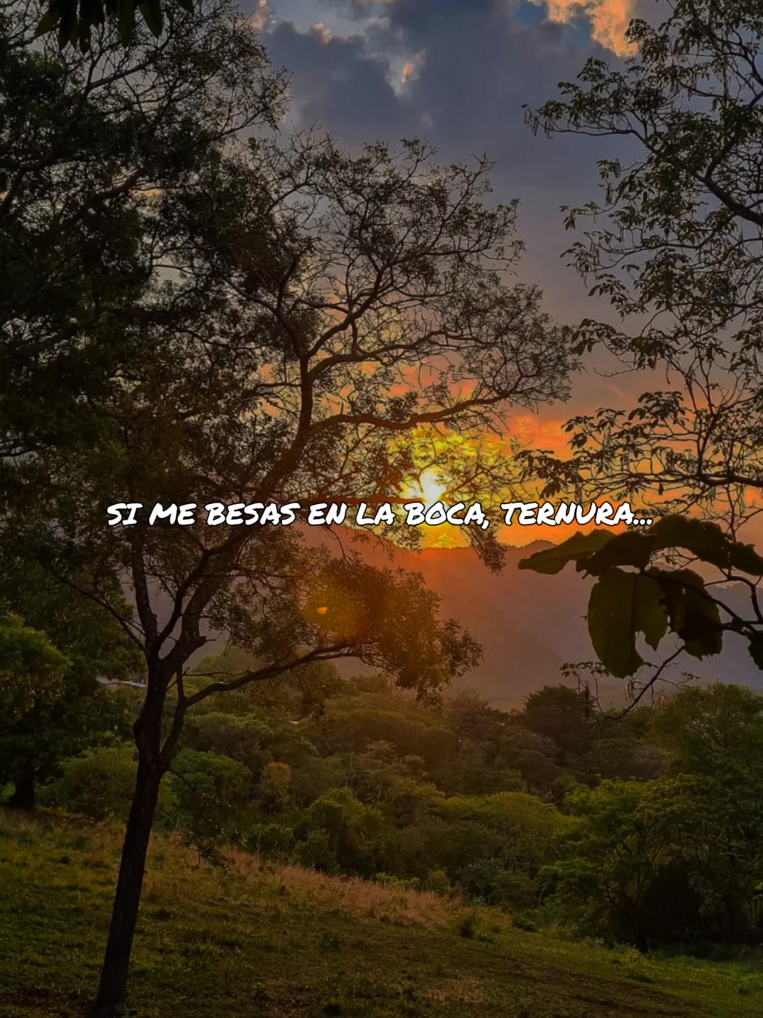 @Jean Cárdenas