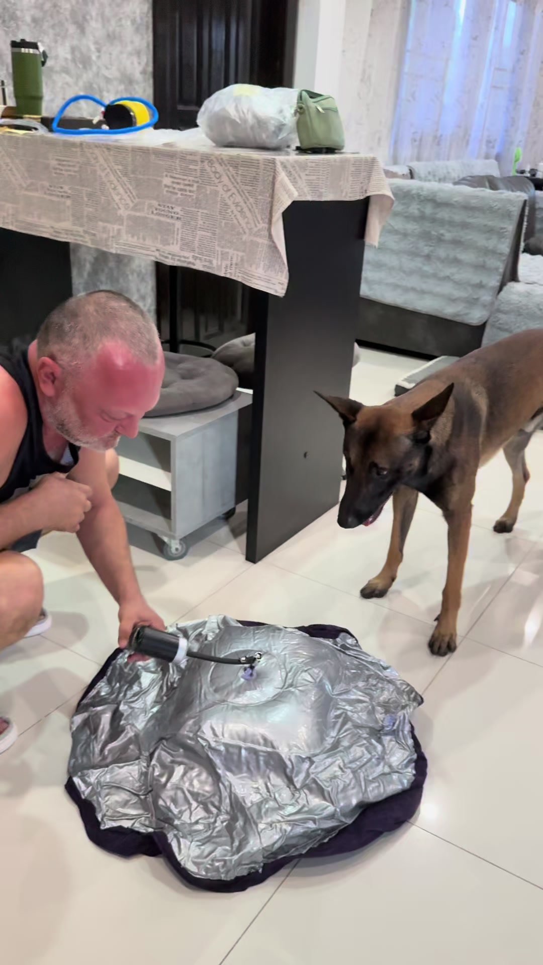 @doglifethailand