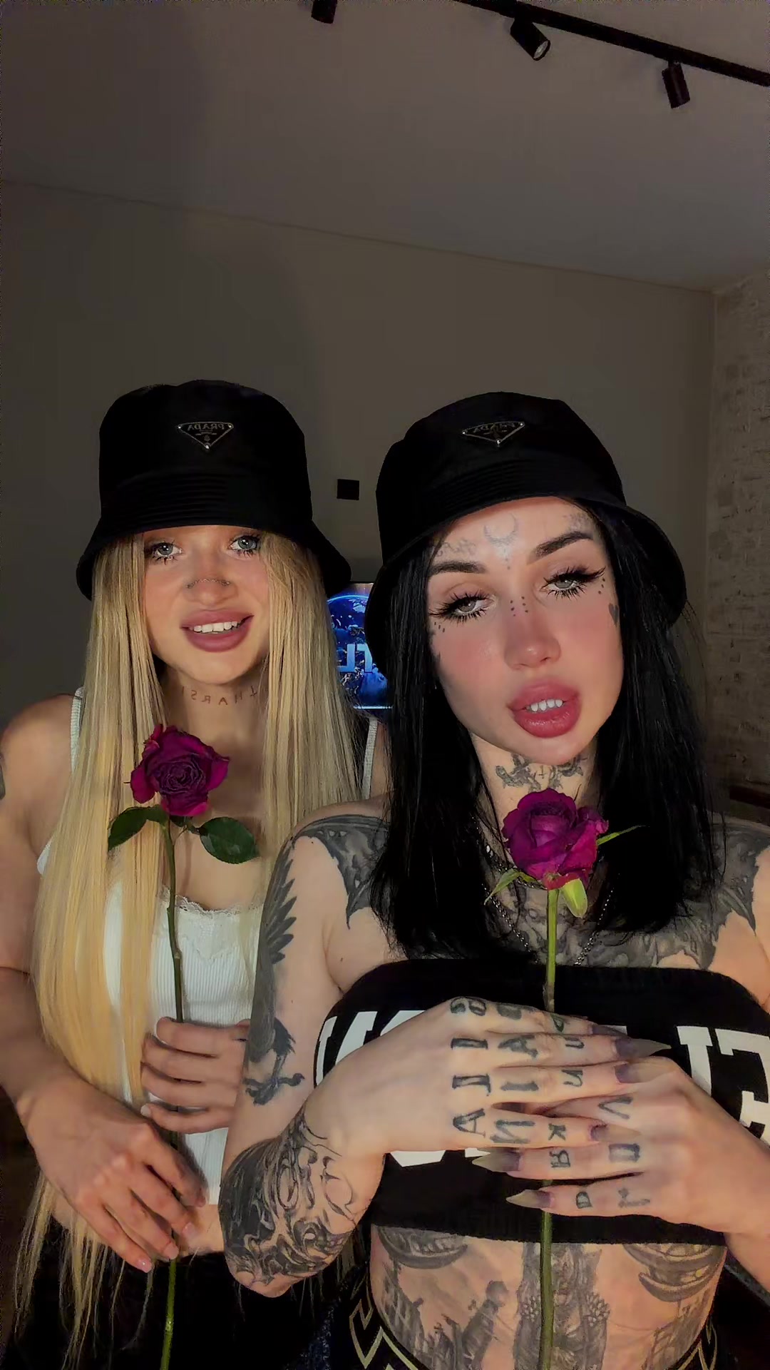 @Vivita_veys