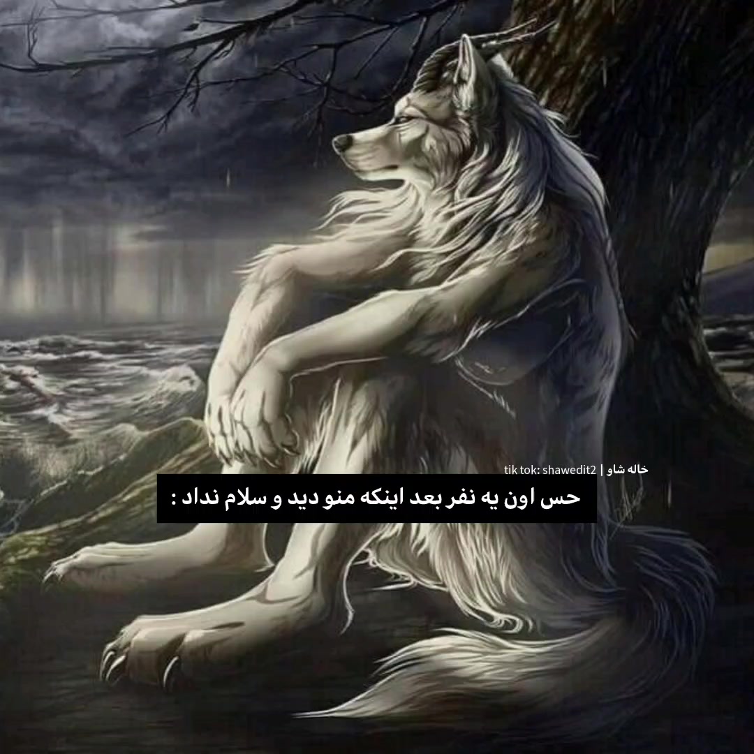 @خاله شاو | khale shaw